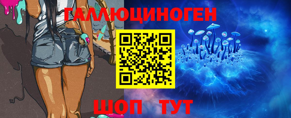 Губкинский  Галлюциногенные грибы Cubensis  Вход с VPN 